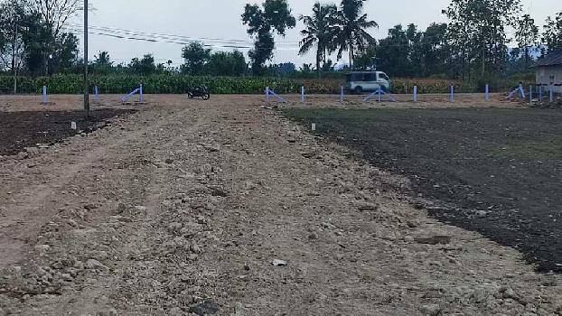 Low cost farm land in Dindigul