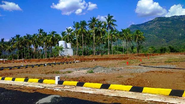low cost Dtcp RERA approved plot in chinnalapatti Dindigul