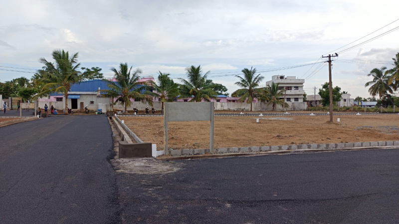 Low cost Dtcp RERA approved in seelapadi,Dindigul