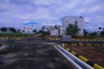 Residential plot for sale in collectorate Dindigul