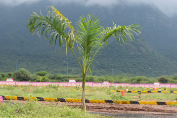 Residential plot for sale in chinnalapatti