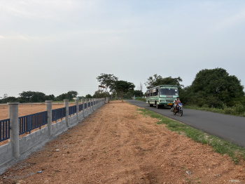 Residential Plot for Sale in Sanarpatti, Dindigul (1200 Sq.ft.)