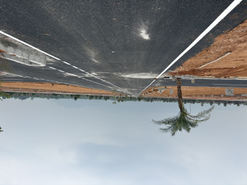 Residential Plot for Sale in Balakrishnapuram, Dindigul (1200 Sq.ft.)