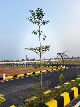 Low budget investment plots in Dindigul