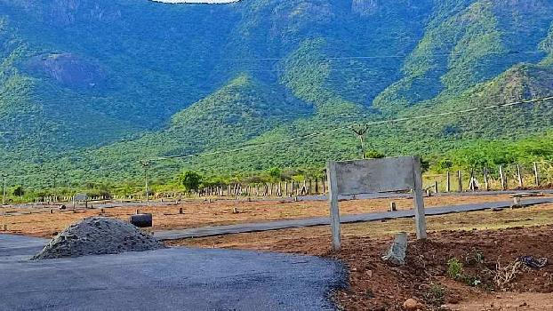 Low cost Dtcp approved plots in sirumalai near dindigul