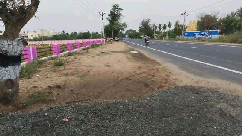 Low cost Dtcp approved plots in thadi combhu Dindigul