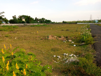 Agricultural/Farm Land for Sale in Kamrej, Surat (1.60 Bigha)