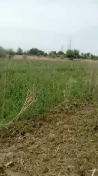 Farm Land for Sale in Sampura Village  Kamrej, Surat