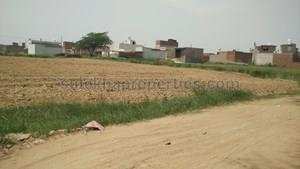 Agricultural Land for Sale in Najafgarh