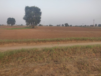 Property for sale in Khairthal, Alwar