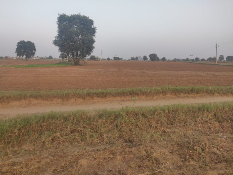 25 Bigha Agricultural/Farm Land for Sale in Khairthal, Alwar