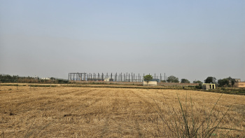 Property for rent in Rohad Industrial Area, Bahadurgarh