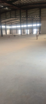 120000 Sq.ft. Warehouse/Godown for Rent in Dharuhera, Rewari