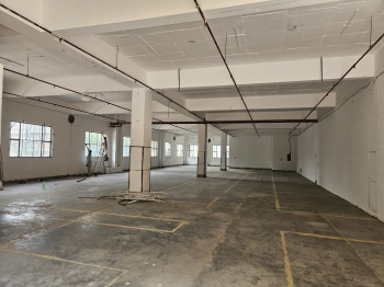 6000 Sq.ft. Warehouse/Godown for Rent in Fazilpur Jharsa, Gurgaon
