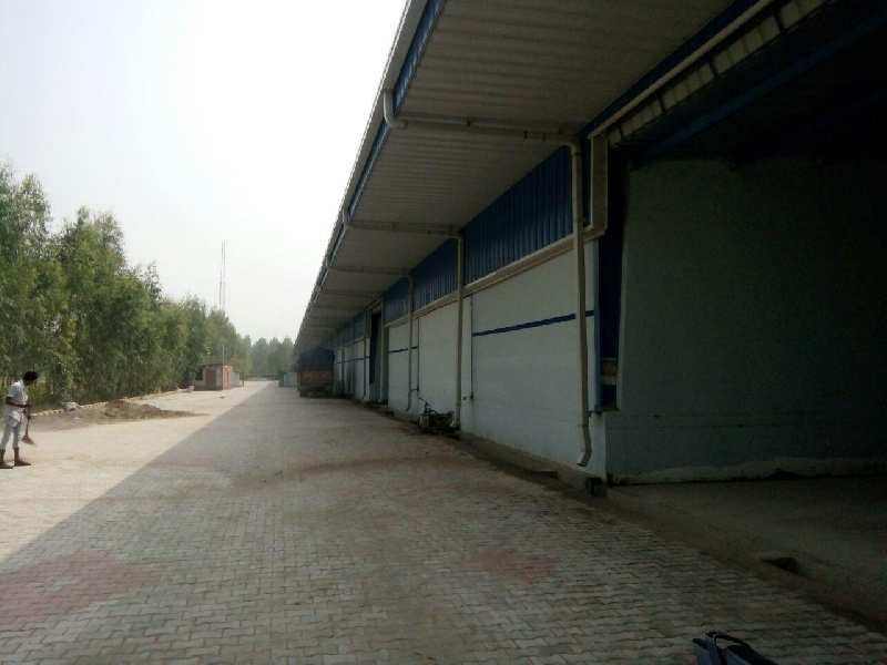 Ware House for Lease in Mohra, Ambala