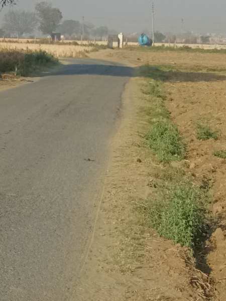 2.5 Acre land available at village Asoda bahadurgarh
