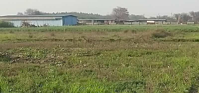 10 acre land available near IMT kharkhoda village pai
