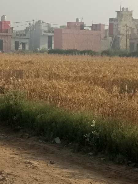 Agriculture land available at free Industrial zone Rohtak