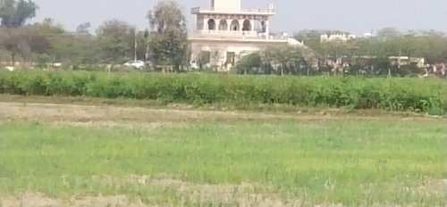 R Zone Land Available at Bahadurgarh
