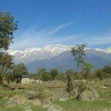 Residential Land for Sale in Palampur