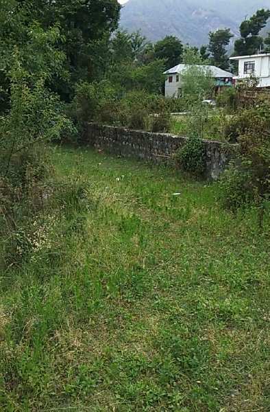 Residential Plot For Sale In Bandla ,Palampur