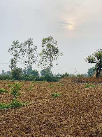 18 Acre Agricultural/Farm Land for Sale in Sohna, Gurgaon