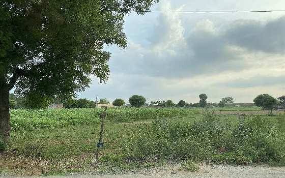 6 Acre Agricultural/Farm Land for Sale in Sohna Road, Faridabad