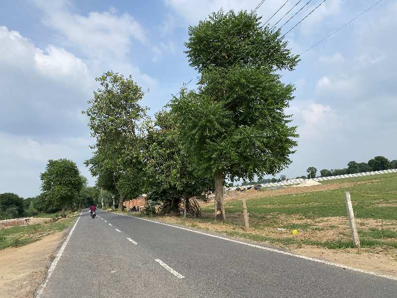 21 Acre Agricultural/Farm Land for Sale in Sohna, Gurgaon