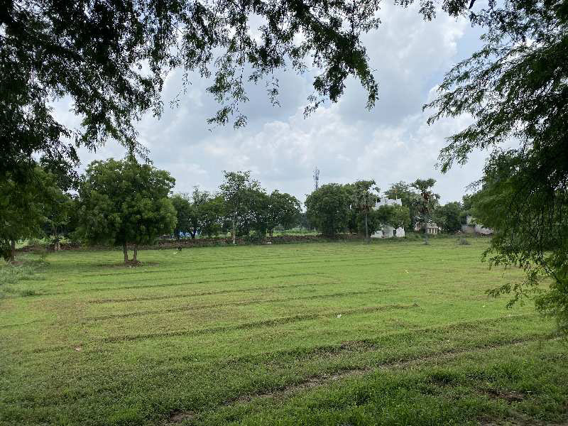 21 Acre Agricultural/Farm Land for Sale in Sohna, Gurgaon