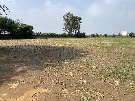 5 Acre Agricultural/Farm Land for Sale in Sohna, Gurgaon