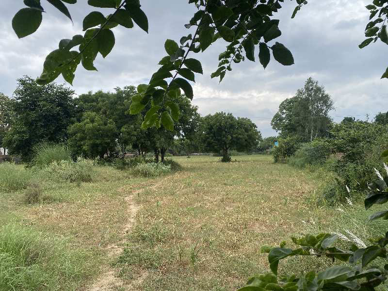 5 Acre Agricultural/Farm Land for Sale in Sohna, Gurgaon
