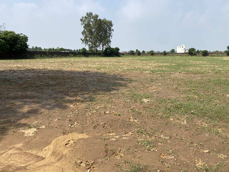 31 Acre Agricultural/Farm Land for Sale in NH 2, Palwal