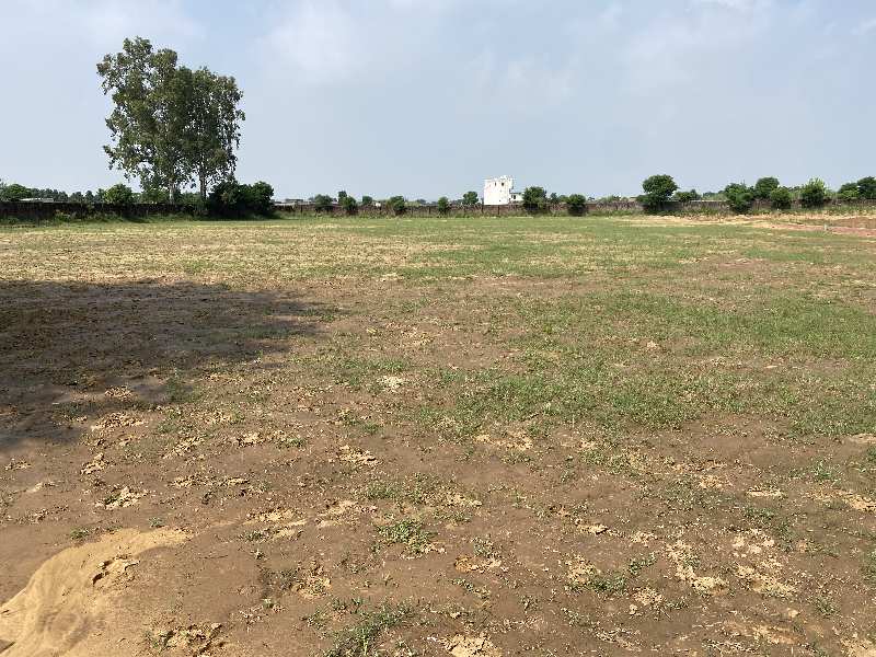31 Acre Agricultural/Farm Land for Sale in NH 2, Palwal