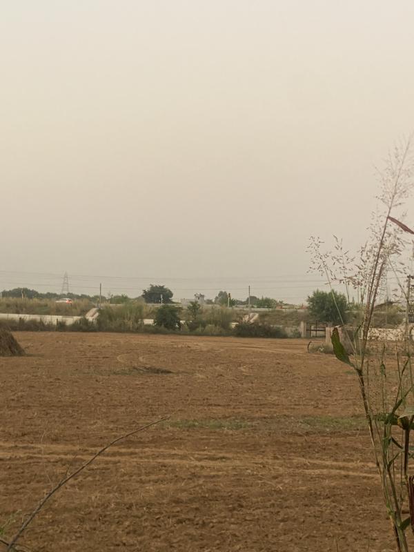 6 Acre Agricultural/Farm Land for Sale in Sohna, Gurgaon