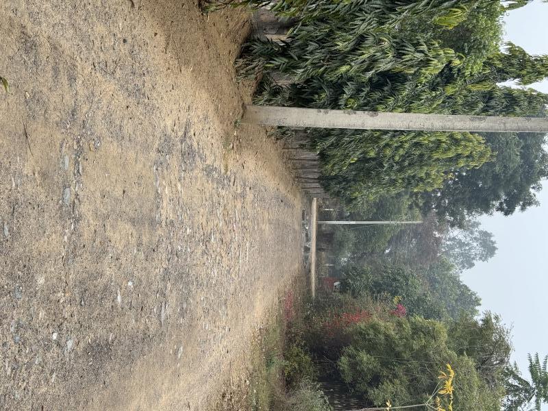 2 Acre Agricultural/Farm Land for Sale in Sohna, Gurgaon