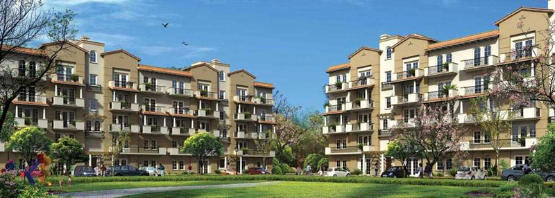4 BHK Builder Floor for Sale in Sector 65, Gurgaon (1975 Sq.ft.)