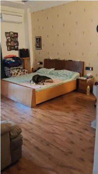 Builder Floor for Sale in Sector 49, Gurgaon (3500 Sq.ft.)