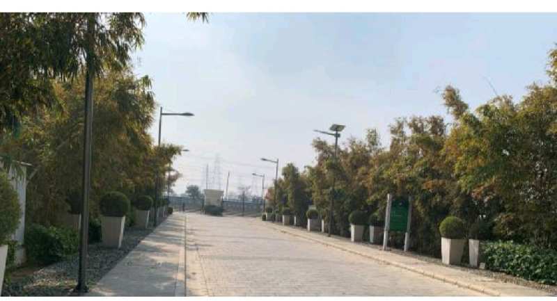 538 Sq. Yards Residential Plot for Sale in Sector 73, Gurgaon