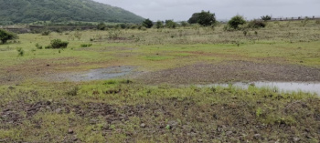 MIDC Industrial Plot Kurkumbh pune 12 Acres Chemical Zone  For Sale