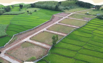 Approved By Nagara Pradhikara And Gram Panchayat , 9 And 11A Khata