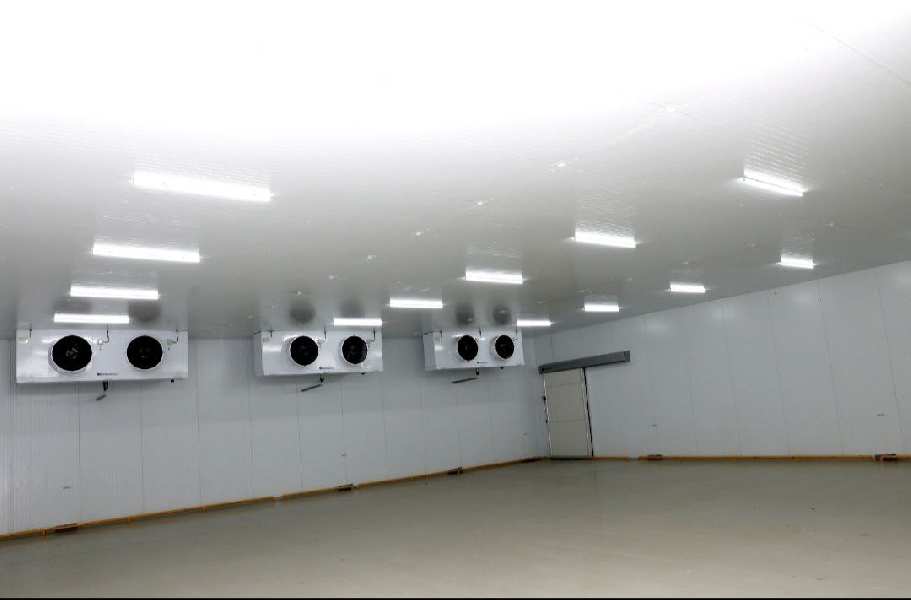 6500 sqm ready cole storage setup for sale in Awankhed Dindori,