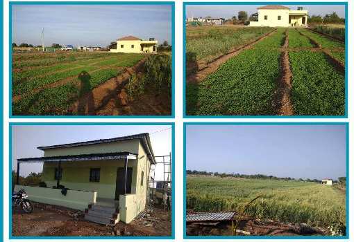 4 Acre agreculture farmhouse land for sale in Hevargaon sinnar