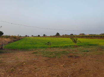 6 Acre agriculture farmhouse land for sale janori dindori nashik