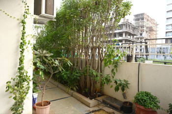 Property for sale in Gangapur, Nashik