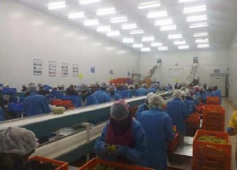 Industrial land 20000sqf constructed cold storage setup at dindori.