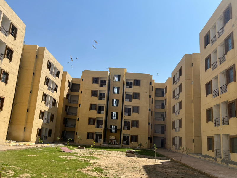 1 BHK Flats & Apartments for Sale in Jagdamba Nagar Vistar, Pali (354 Sq.ft.)