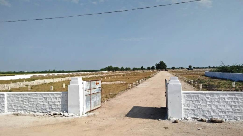 600 Sq.ft. Residential Plot for Sale in Pali