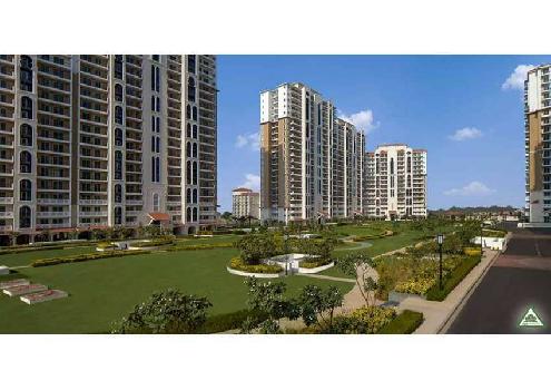 3 BHK Flats & Apartments for Sale in Sector 91, Gurgaon (1900 Sq.ft.)