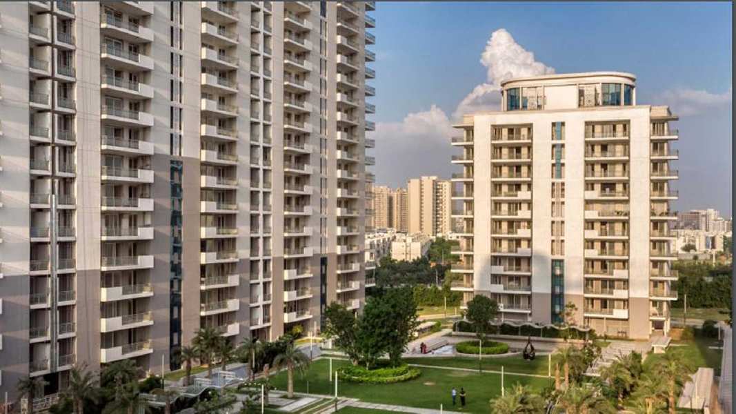 3 BHK Flats & Apartments for Sale in Sector 81, Gurgaon (2103 Sq.ft.)