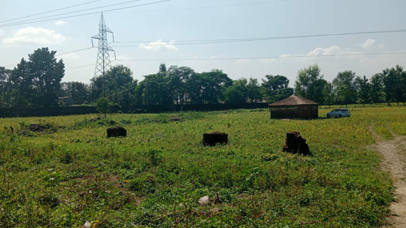 900 Sq. Yards Residential Plot for Sale in Resham Majri, Dehradun